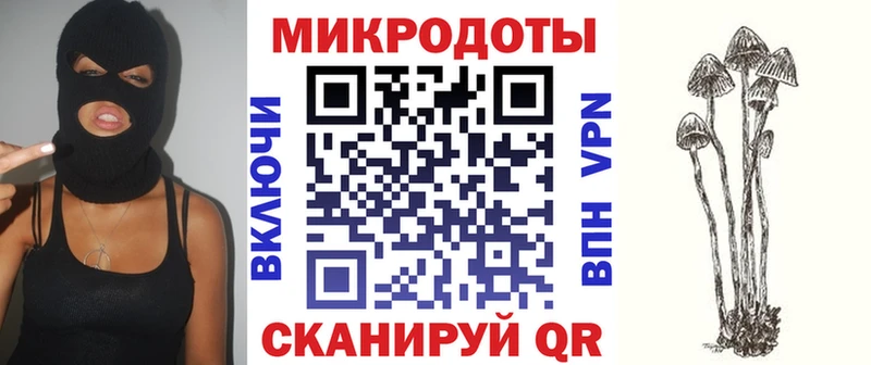 блэк спрут вход  Невель  Псилоцибиновые грибы Magic Shrooms 